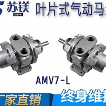 AMV7-L (2).jpg