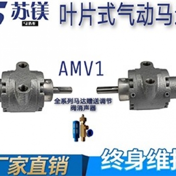 AMV1马达 (2).jpg