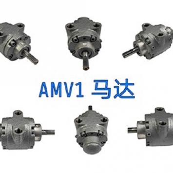 AMV1马达 (4).jpg