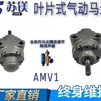 AMV1马达.jpg