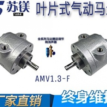 AMV1.3-F (3)..jpg