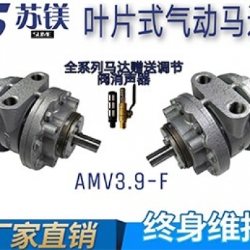 AMV3.9-F (3)..jpg