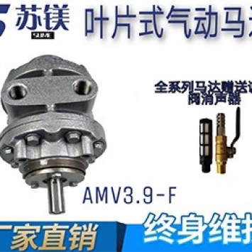 AMV3.9-F..jpg